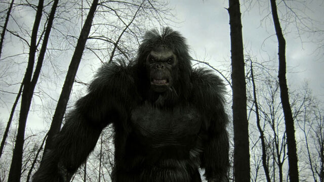 File:Bigfoot.jpg