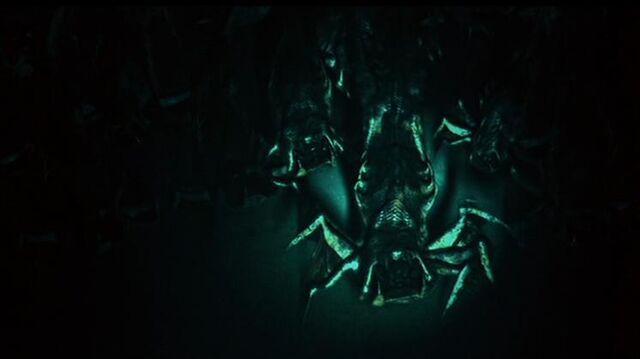File:Legion Spawns.jpg