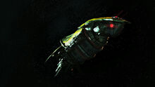Hiver Cruiser In Space