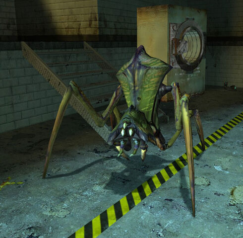 File:364824-antlion full.jpg