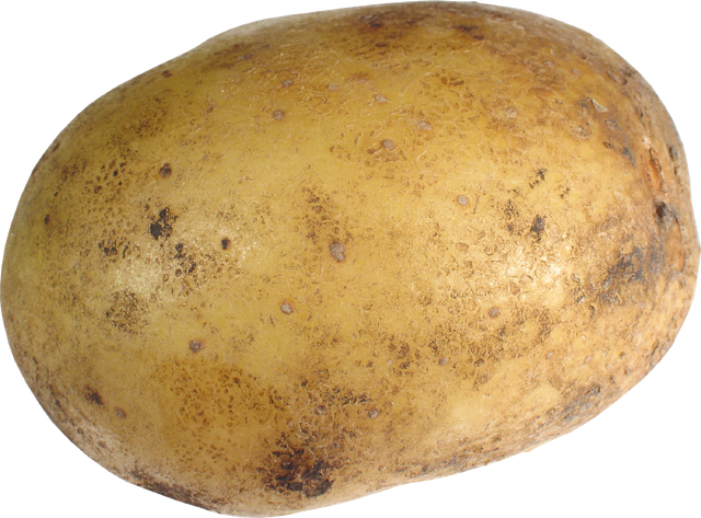 File:Potato PNG7078.png