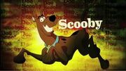 Scoob mi.jpeg