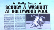 Daily News (SGH)