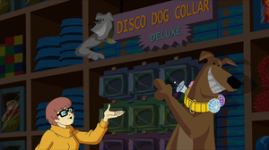 Disco Dog Collar Deluxe