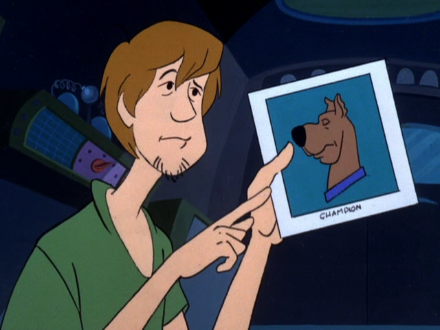 File:Bob Miller's dog (head shot).png