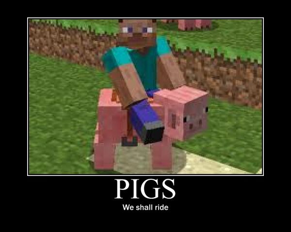 File:Pigs.jpg