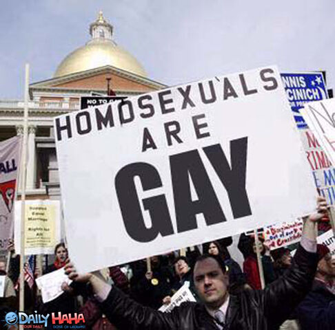 File:Homosexuals are gay.jpg