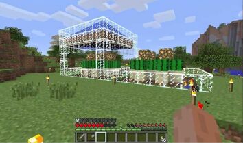 Cactus farm1