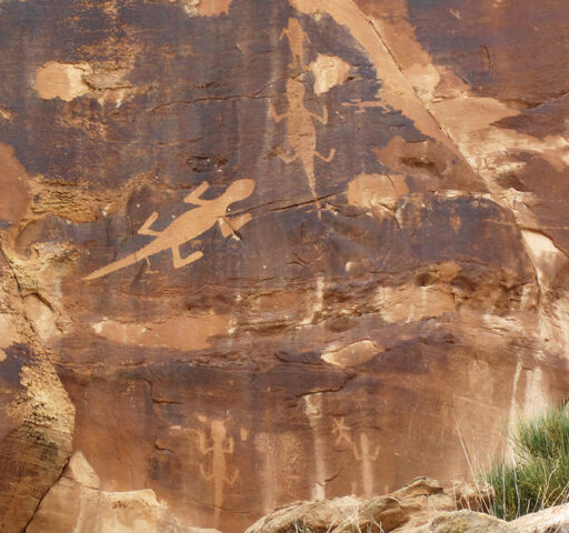 File:Lizard 2016a.jpg