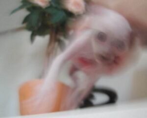 Scp-019-2.jpg