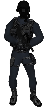 13.png