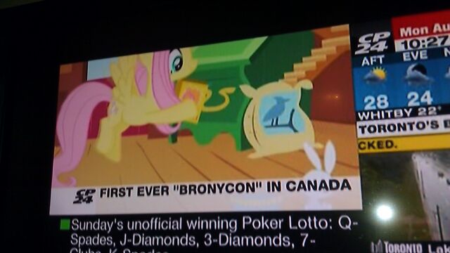 File:Brony2.jpg