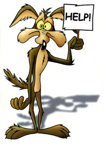 Coyote