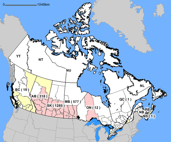 File:Human-wnv-2007.gif