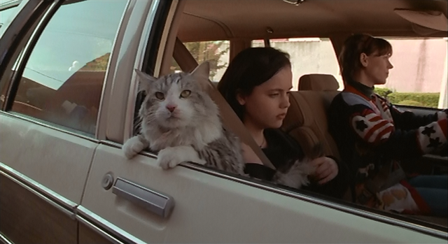 File:That Darn Cat.png