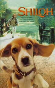 Shiloh on VHS