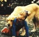 Comet dog2