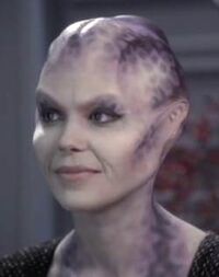 Kobali Female