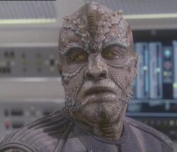 A Male Arkonian