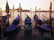 GalleryPlayer-1 Venice