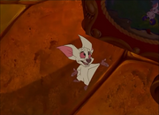 Bartok the Bat