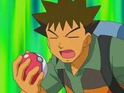 Animebrock