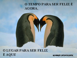 Nova Imagem (7)