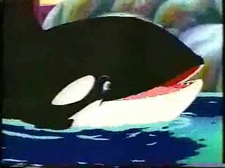 Willy as an Animated Character
