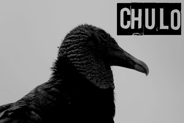 File:Chulo.jpg
