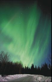 Auroradraconian