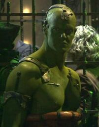 Orion Male
