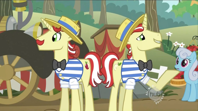File:Flim Flam Brothers.png