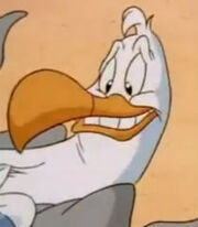 Steven Seagull (Animaniacs)