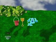 Blue's Bucket