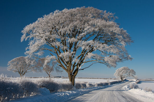 File:A Winter's Tale.jpg