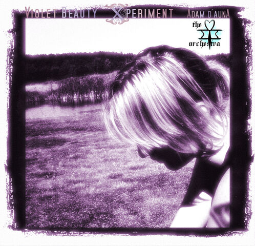 File:Violet Beauty Xperiment.jpg