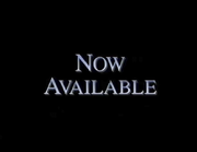 Now Available Bumper