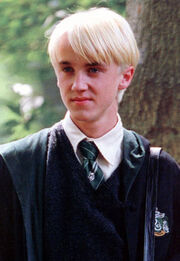 Draco m.