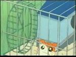 Hamtaro's House