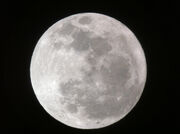 Moon-march-2012-senin
