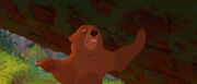Brother-bear-disneyscreencaps.com-3363