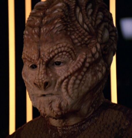File:Hirogen.jpg