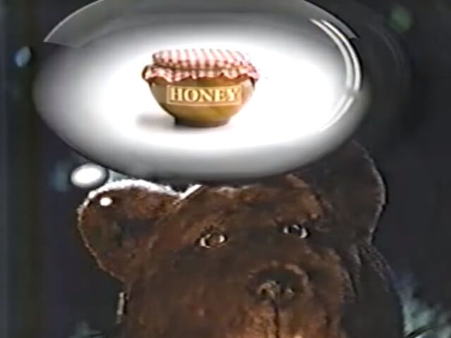 File:PBS Kids Bear Thinking.jpg
