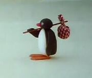 Pingu Logo
