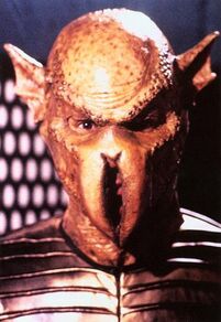 Unnamed Species VII