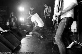 Emarosa2