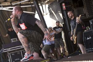 Theacaciastrain4