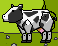 A Cow
