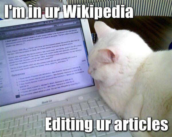 File:Wikipedia-lolcat2.jpg