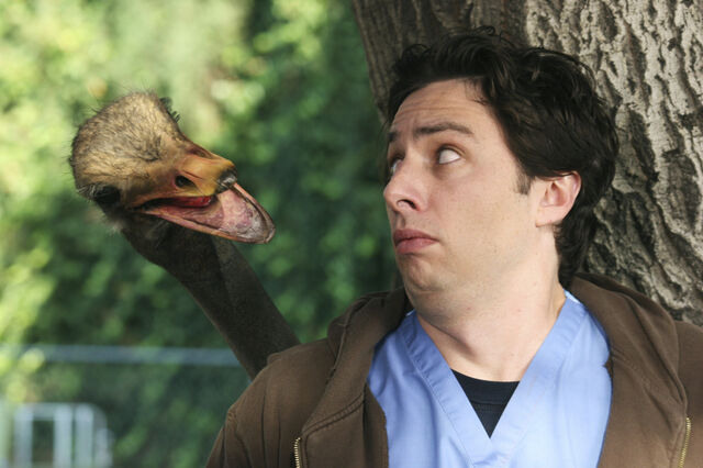 File:My Big Bird.jpg
